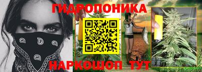 прущие крисы Анапа