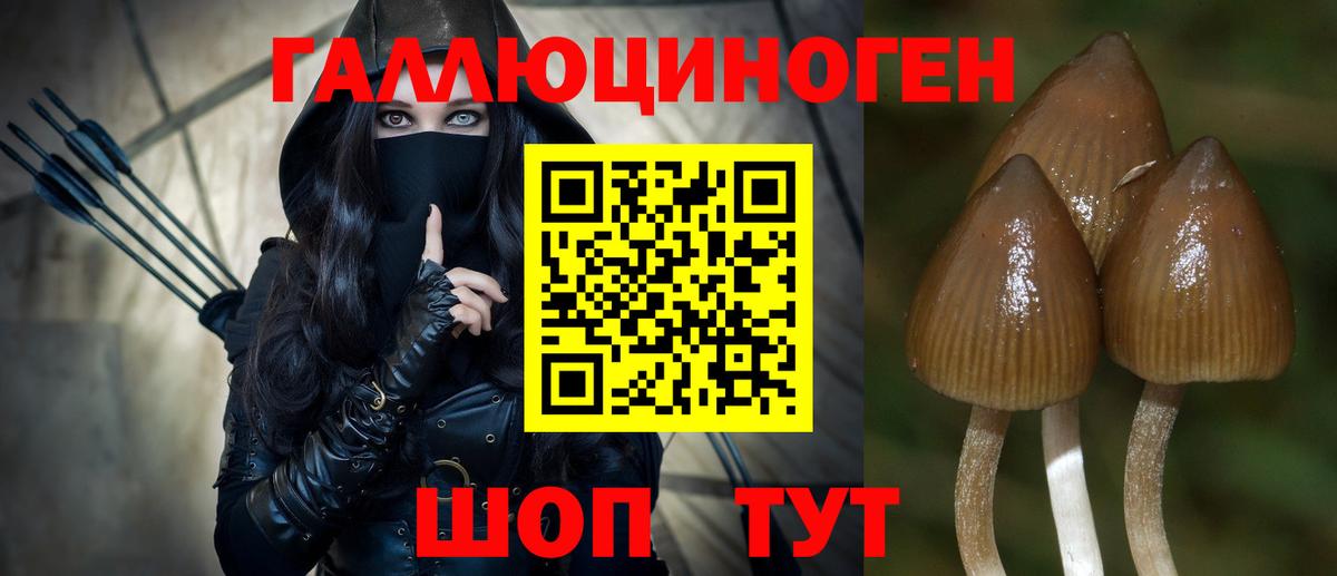 Туймазы  даркнет сайт  Вход с VPN  Галлюциногенные грибы мицелий 
